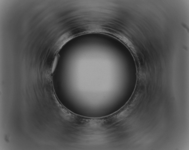 X0000093480905200710121443