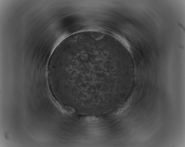 X0000093480907200710121443