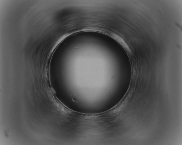X0000093480908200710121443