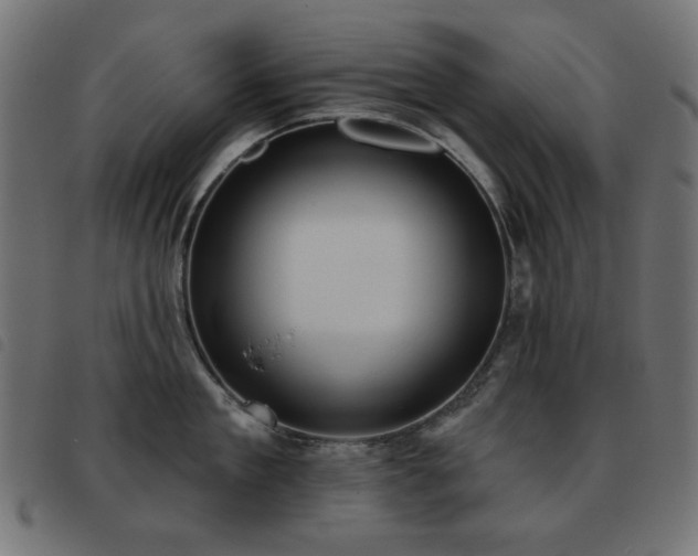 X0000093480909200710121443
