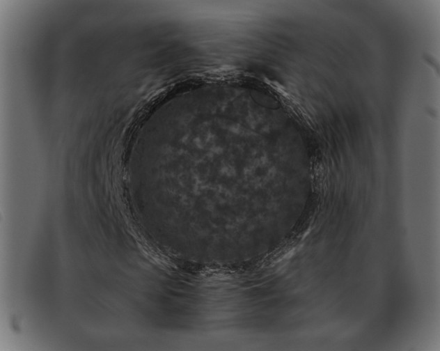 X0000093480913200710121442