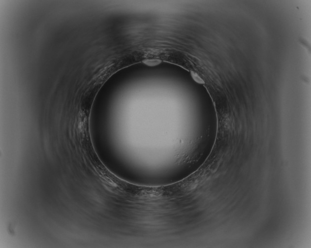 X0000093480914200710121442