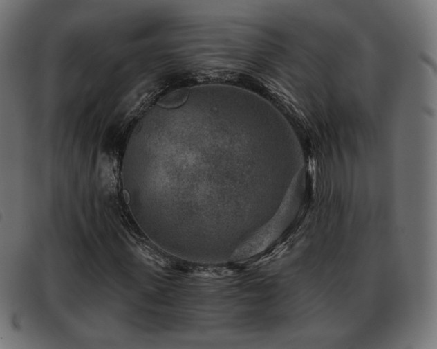 X0000093480915200710121442