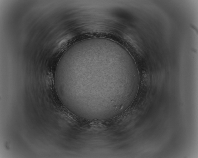 X0000093480918200710121442