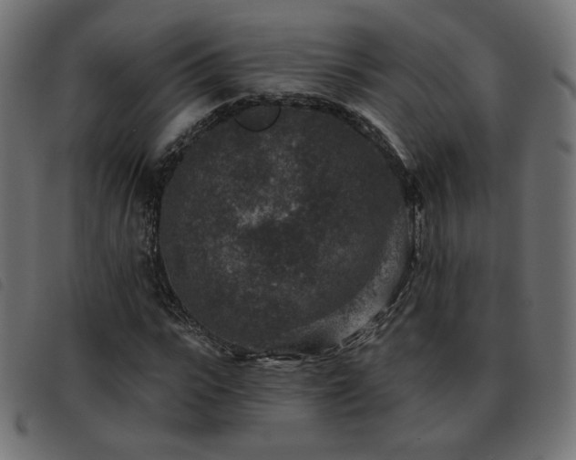 X0000093480919200710121442