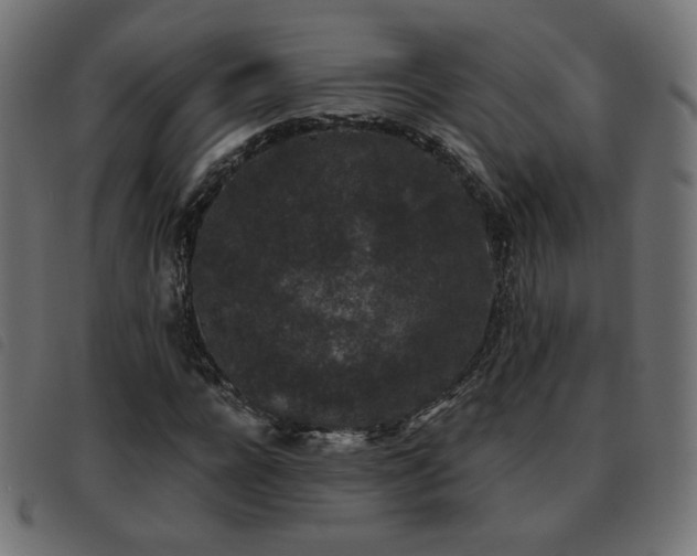 X0000093480920200710121442