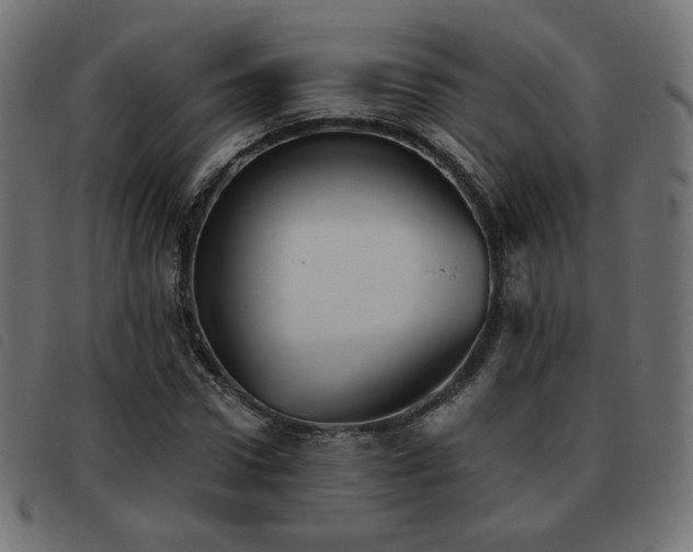 X0000093480922200710121442