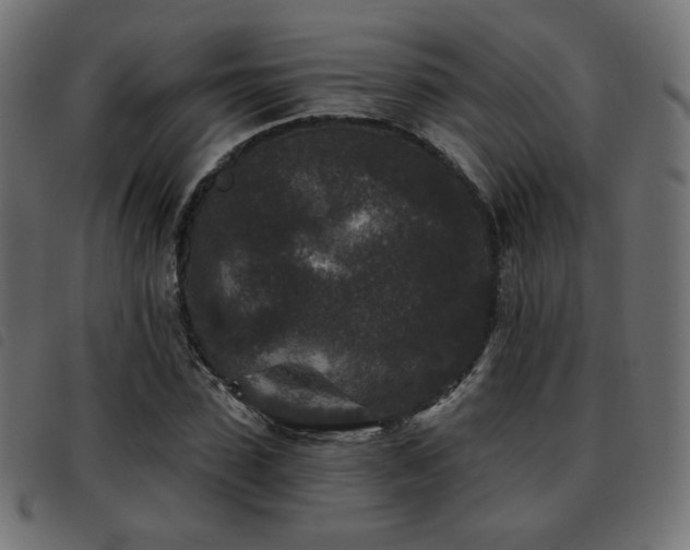 X0000093480923200710121442