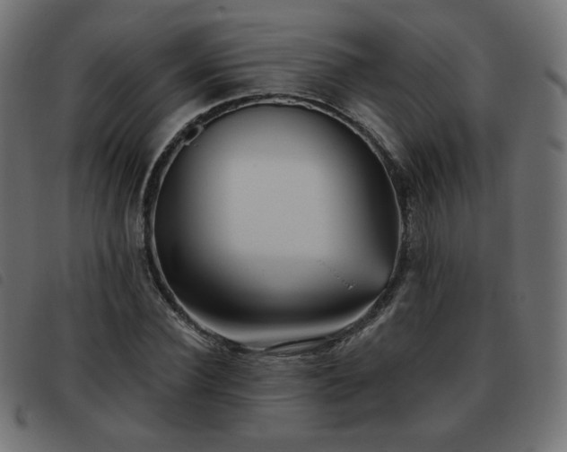X0000093480924200710121442