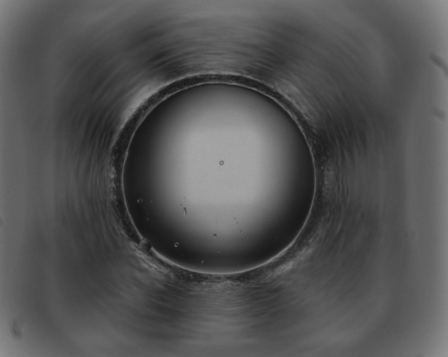 X0000093480926200710121442