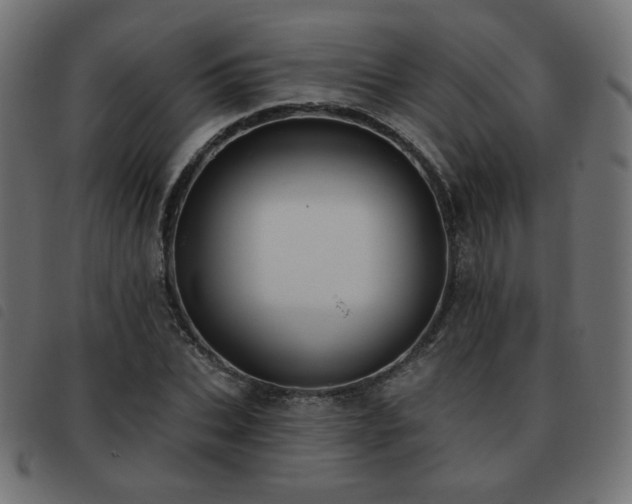 X0000093480927200710121442