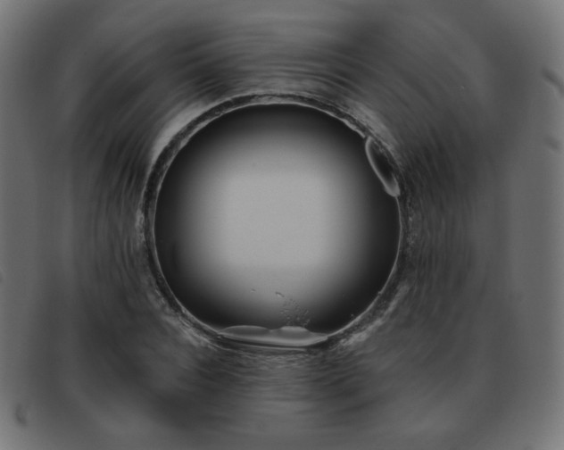 X0000093480928200710121442