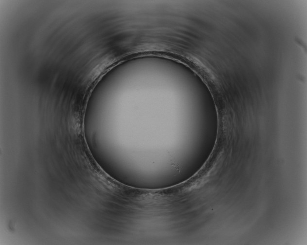 X0000093480929200710121442