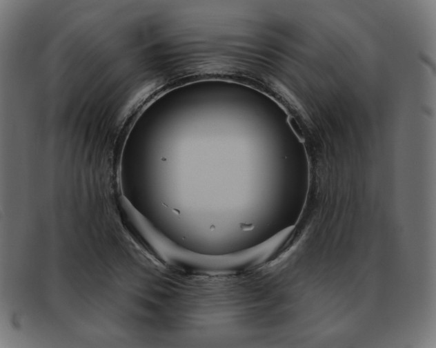 X0000093480930200710121442