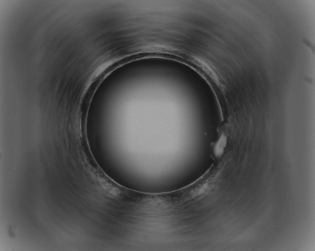 X0000093480931200710121442