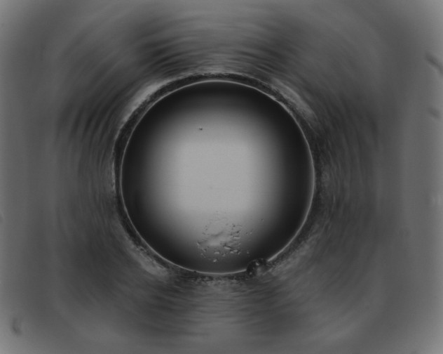 X0000093480934200710121442