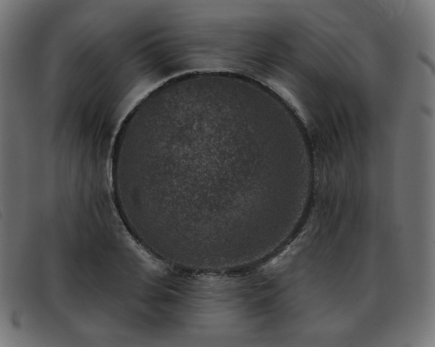 X0000093480935200710121442