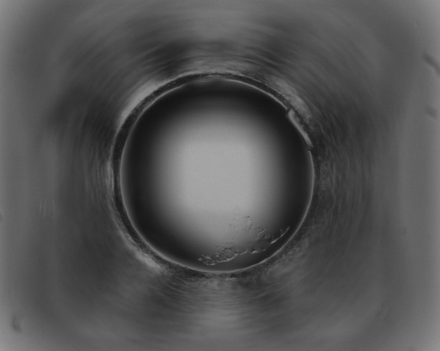 X0000093480936200710121442