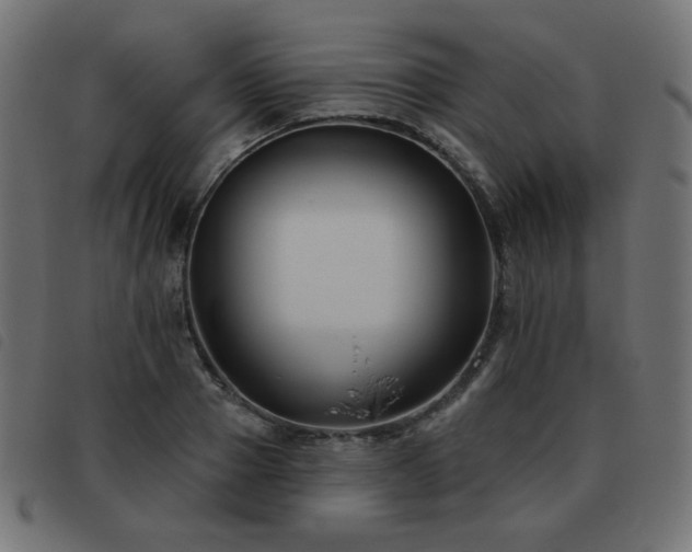 X0000093480937200710121442