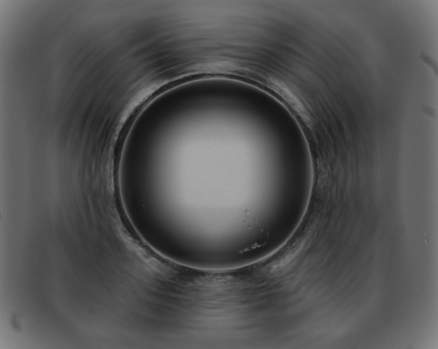X0000093480939200710121443