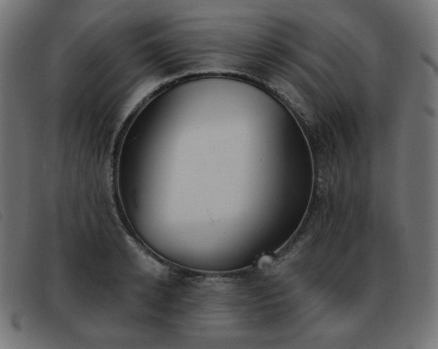 X0000093480942200710121443