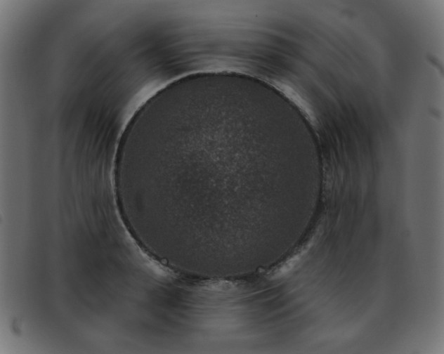 X0000093480943200710121443