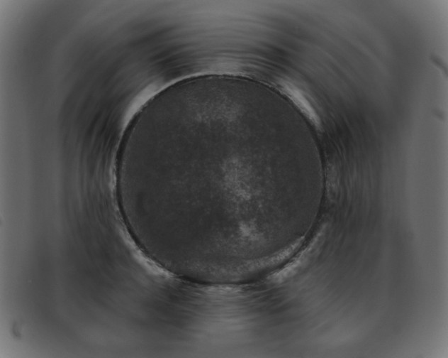 X0000093480944200710121443