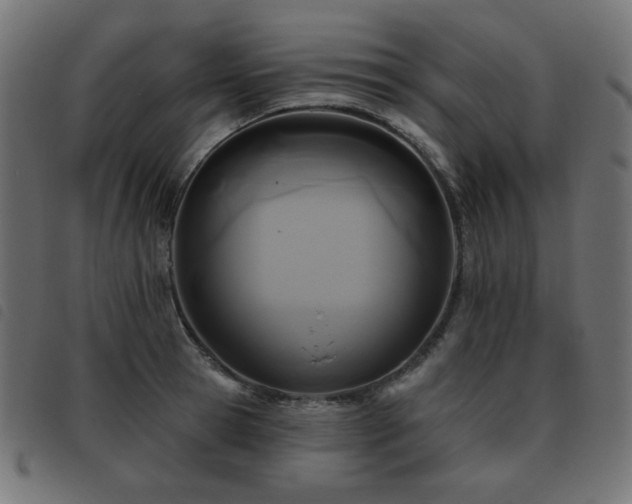 X0000093480945200710121443