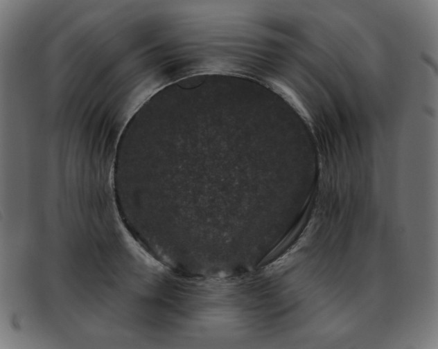 X0000093480946200710121443