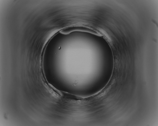 X0000093480948200710121443