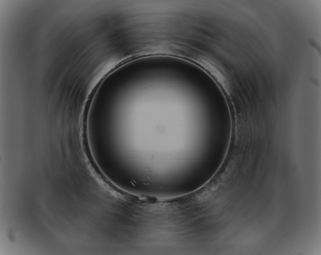 X0000093480949200710121443
