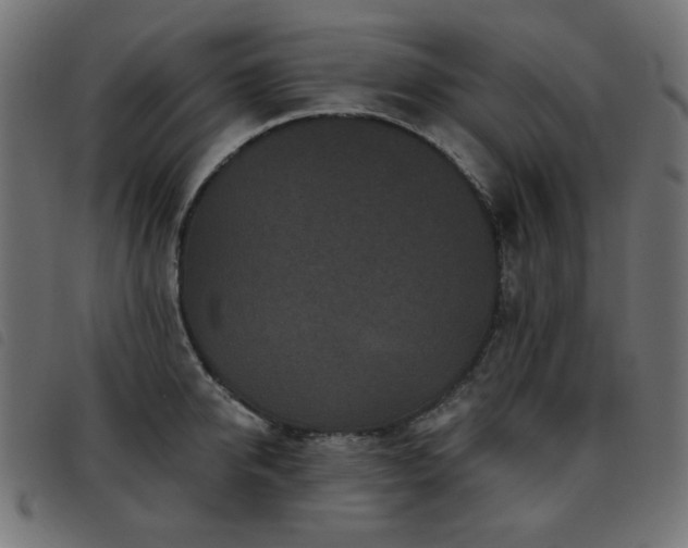 X0000093480950200710121443