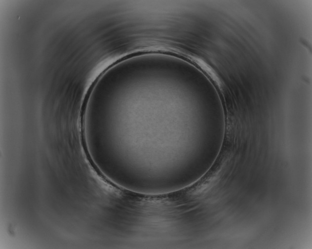 X0000093480951200710121443