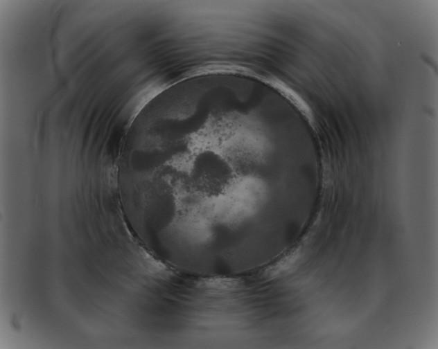 X0000093480953200710121443