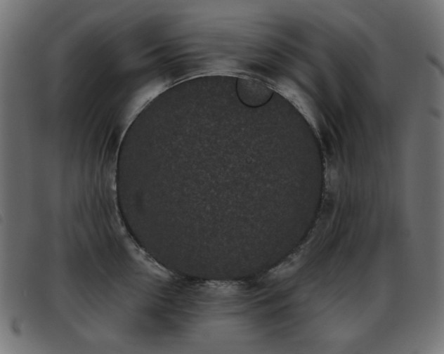 X0000093480954200710121443