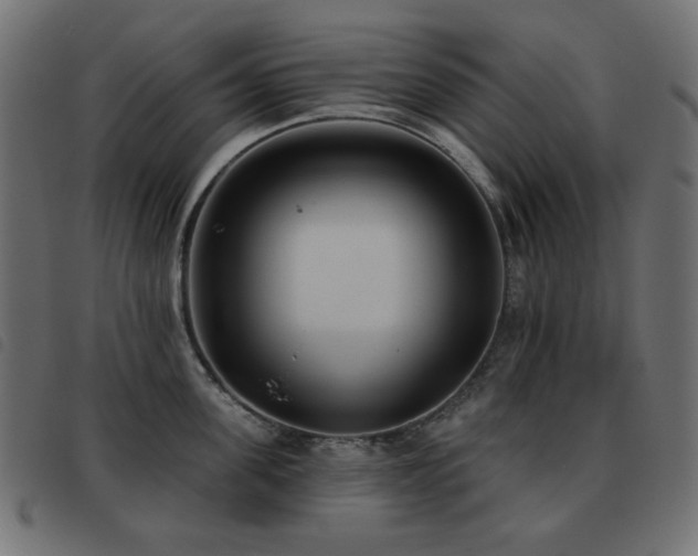 X0000093480955200710121443