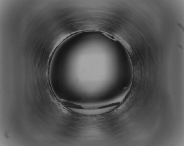 X0000093480956200710121443