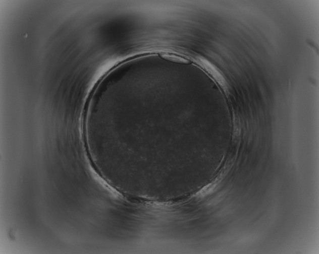 X0000093480958200710121443