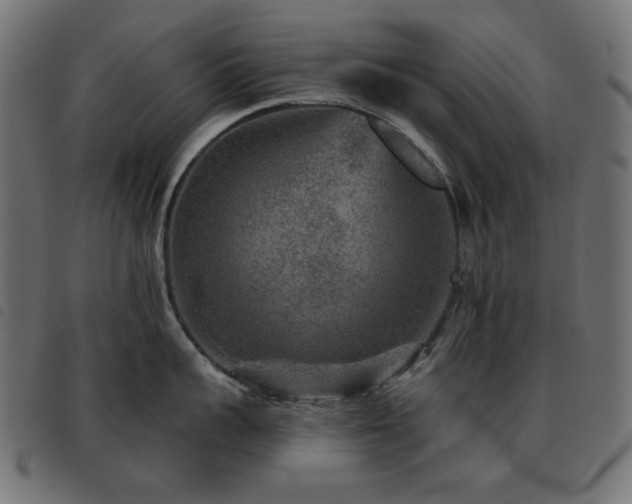 X0000093480959200710121443