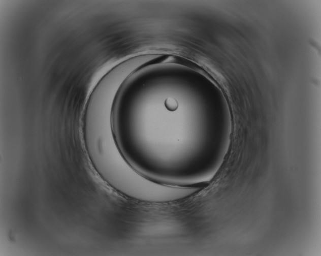 X0000093480960200710121443