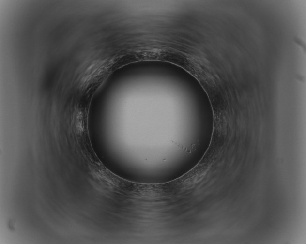 X0000093480962200710121442