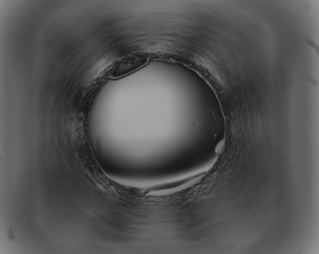 X0000093480968200710121442