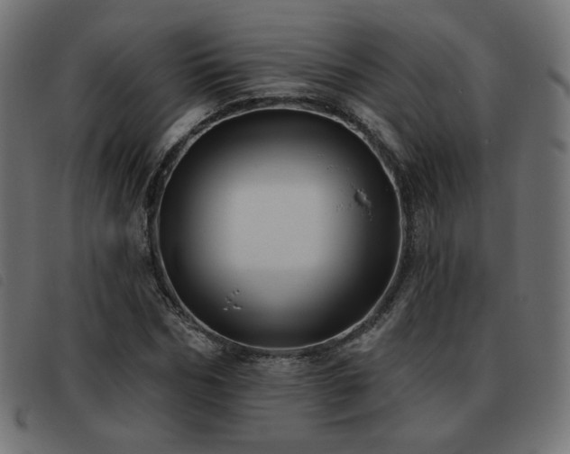 X0000093480970200710121442