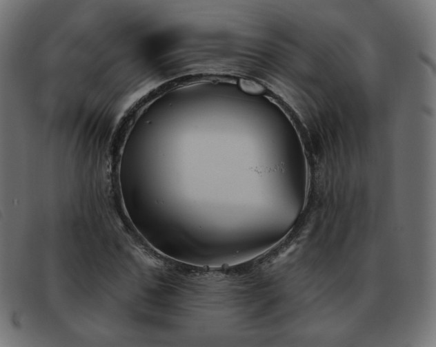 X0000093480971200710121442