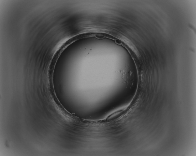 X0000093480972200710121442