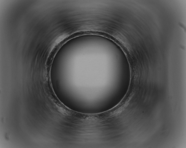 X0000093480974200710121442