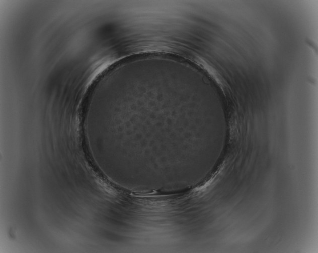 X0000093480975200710121442