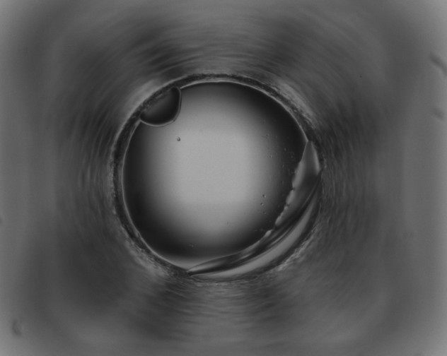 X0000093480976200710121442