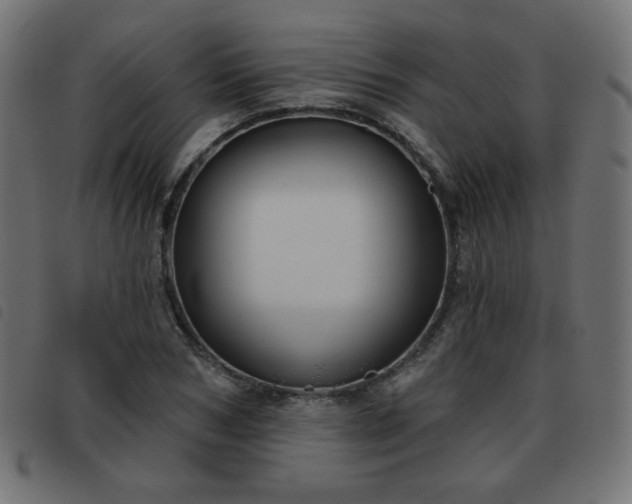 X0000093480978200710121442