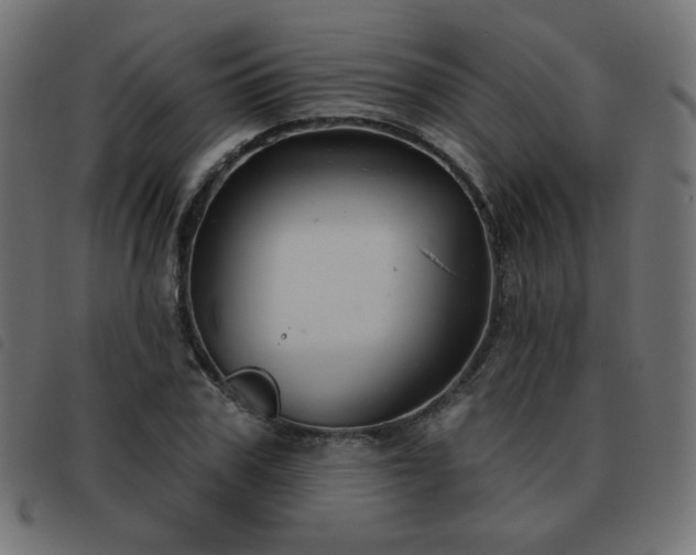 X0000093480979200710121442